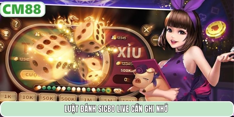 Luật đánh sicbo live cần ghi nhớ